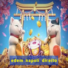 edem napoli direito constitucional pdf